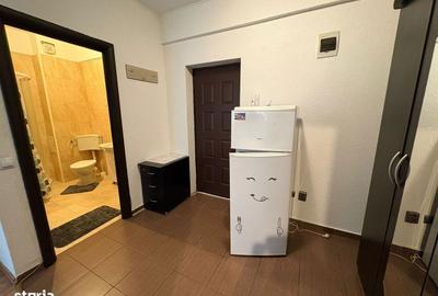 Garsonieră semidecomandată, mobilată în Metalurgiei - 2