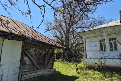 Casă cu 2 camere în Podei - 5
