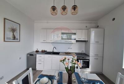 Apartament cu 2 camere, mobilat în Turnișor - 14