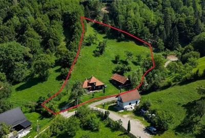 FILM! Proprietate autentica, Bran-Simon, 4.300 mp teren, casa traditionala + ane - 5