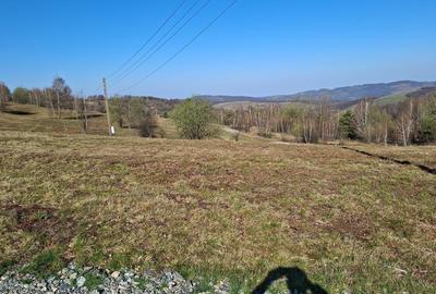 Spațiu comercial, în Damiș - 8