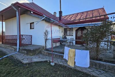 Casă cu 3 camere cu Teren 4900 Mp în Central - 2