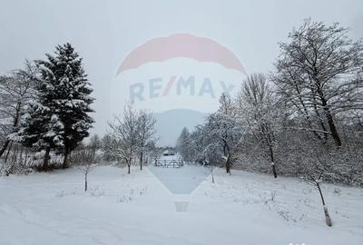 Teren de 4193 mp, în Breb - 3