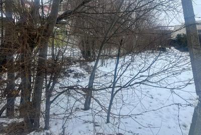 Teren constructii Elvila, strada Eugen Lovinescu, 431 mp cu o deschidere de 12.7 - 2