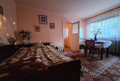 Apartament cu 2 camere semidecomandat, mobilat în Șagului - 3