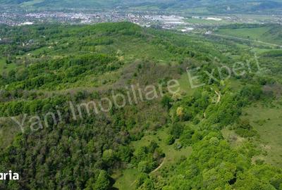 Teren de 19452 mp, în Central - 3