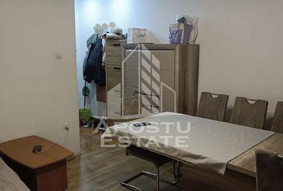 Apartament cu 2 camere semidecomandat, mobilat în Bălcescu - 10