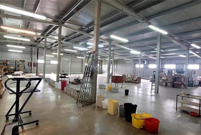 Hala industriala P+E Zona Industriala Bors - 7