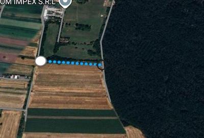 Teren de 4400 mp, în Bolintin-Deal - 3