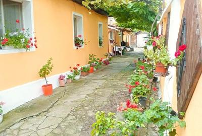 Casă cu 3 camere în Sânmartin - 8