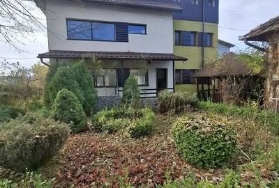 Vila moderna P+1+M, finisaje premium, teren 1.871 mp,acces asfalt, vie ?i livada Dae?ti - 19