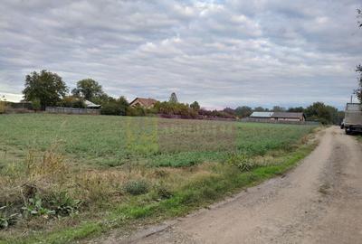 COSERENI( il ) - TEREN 2K MP DE VANZARE (52 M DESCHIDERE ... - 11