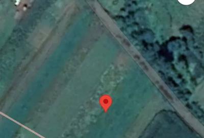Teren de 2000 mp, în Pătrăuți - 3