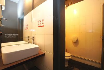 Casă individuală cu 2 camere cu Canalizare în Romană - 14