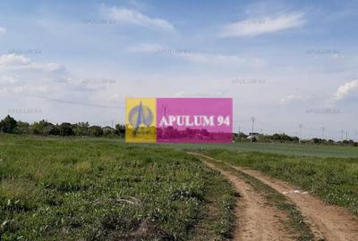 Teren Construcții intravilan de 1430 mp, în 1 Decembrie - 4