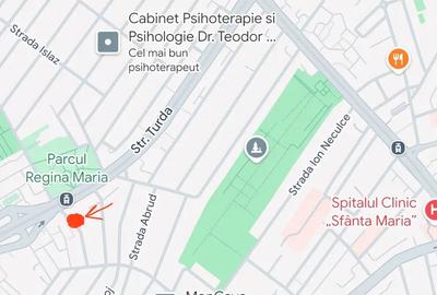 Titulescu, Pod,Victoriei, Gara de Nord, structura P+1, 180 mp, str Zilot Romanul, rezidential,75000 - 4