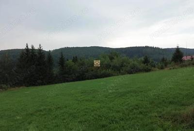 Teren 5023 mp In Bucovina Zona Manastirea Voronet De Vanzare 0727817187 - 5