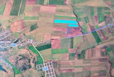 Teren Construcții intravilan de 380000 mp, în Gălbinași - 1