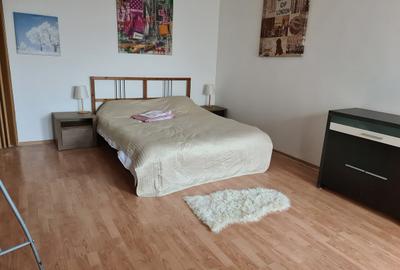 Garsonieră semidecomandată în Vitan - 9