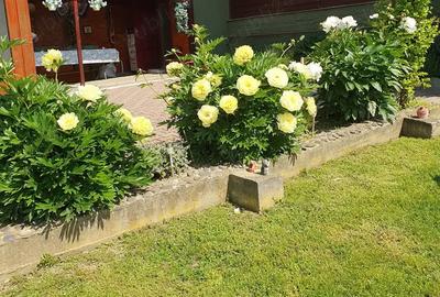 Casă cu 4 camere în Cerghid - 6