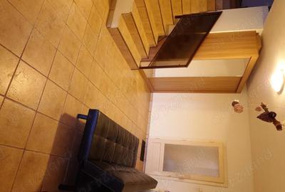 Teren de 4500 mp, în Torontalului - 7