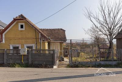 Casă spațioasă cu potențial de renovare și personalizare, în Viișoara - 1