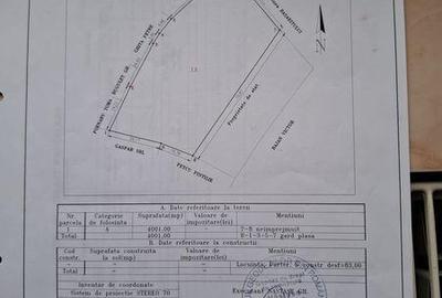 Teren de 4000 mp, în Seimeni - 1