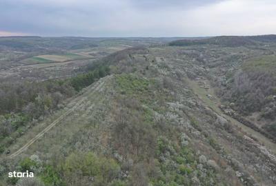 Teren de 8114 mp, în Holod