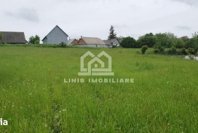 Casă cu 2 camere cu Teren 2000 Mp în Bălcăuți - 4