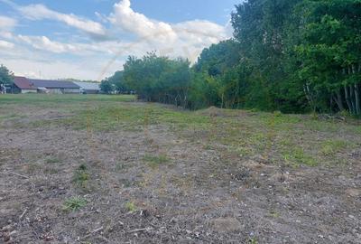 Teren Cerbu - Albota - cu PROIECT CASA si AVIZE - 8