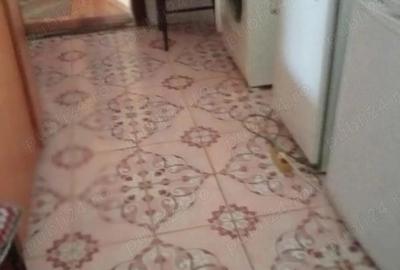 Casa alexandria - 4