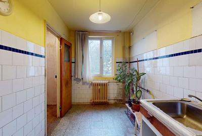 Apartament 4 camere Jean Steriadi Ozana Auchan Titan - 13