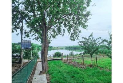 Casă cu 3 camere cu Teren 3300 Mp în Gogoșari