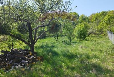 Valea Borcutului,Teren intravilan de vanzare, intre case! Valea Borcutului,Teren intravilan de vanzare, intre case! - 6