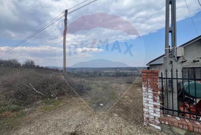 Teren Construcții intravilan de 4008 mp, în Dumbrăveni - 5