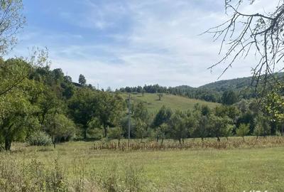 Casa de vanzare+teren - 4