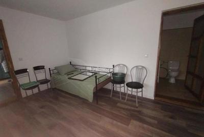 Casă cu Teren 1200 Mp în Constantin Daicoviciu - 7