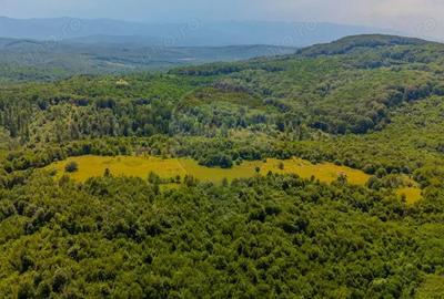 COMISION 0% Teren 1020mp / Intravilan/PUZ/ Grid - 8