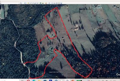 Vand 10 ha teren Poiana Negrii,Dorna Candreni - 3