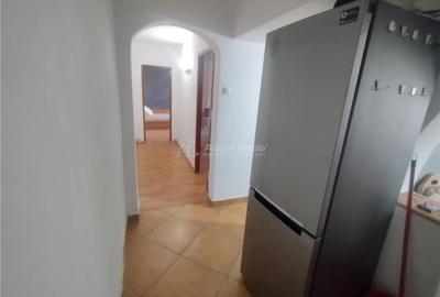 Apartament cu 2 camere decomandat, mobilat în Oravița - 10