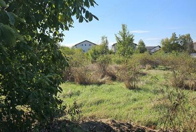 Comuna 1 Decembrie, Jud. Ilfov, teren strada Sperantei - 5