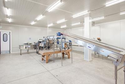 Plantatie de afine la cele mai inalte standarde, de vanzare! - 8