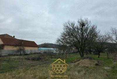 Teren de 1451 mp, în Podari - 12