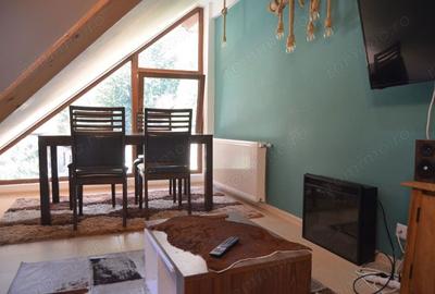 Apartament cu 2 camere decomandat în Valea Alba - 5