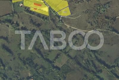 Teren intravilan 2050m acces auto zona turistica Valea Avrigului - 3