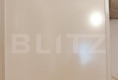 Apartament cu 2 camere decomandat în Iosefin - 2