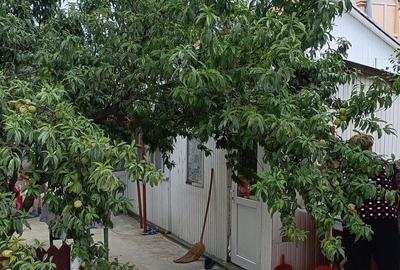 Casă cu 6 camere în Horlăceni - 9