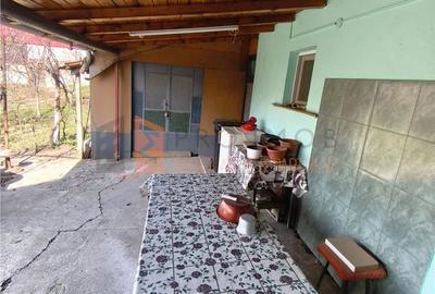 Casă cu 4 camere cu Teren 773 Mp în Pietroasele - 4