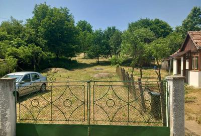 Casă cu 2 camere în Bichiș - 7