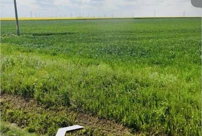 Teren de 38000 mp, în Est - 5